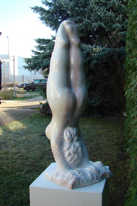 Taucherin - Destan Gashi